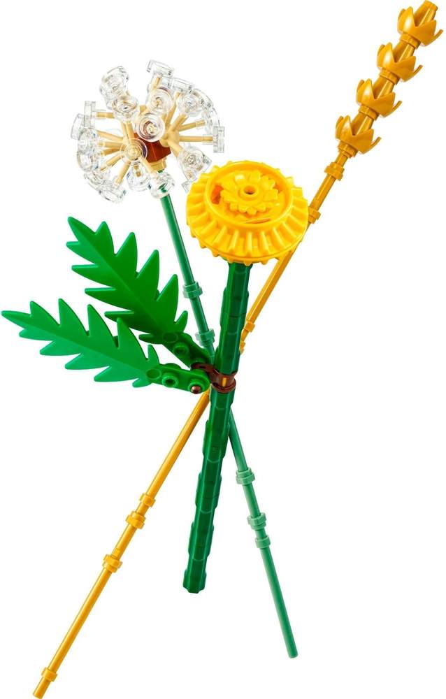 Field Flowers