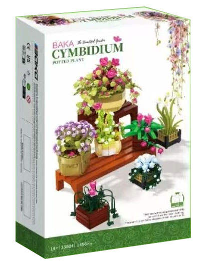 Cymbidium Potted Plant