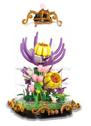 小叶昙花