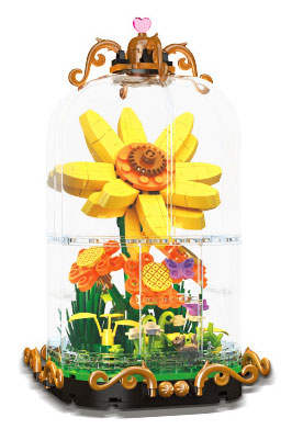 非洲菊小太阳