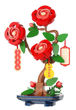 Chinese Rose
