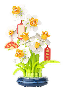Narcissus