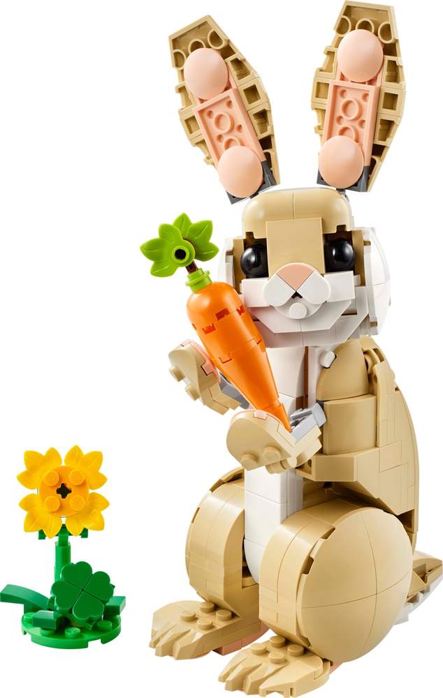 Cute Bunny