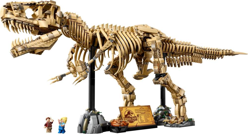 Dinosaur Fossils:Tyrannosaurus Rex