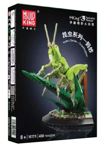 Insect：Grasshopper