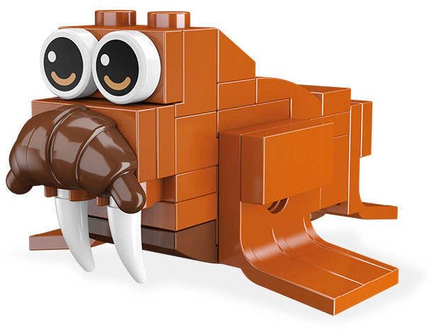 Walrus