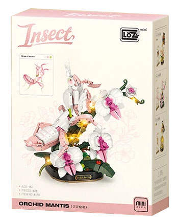 Insect