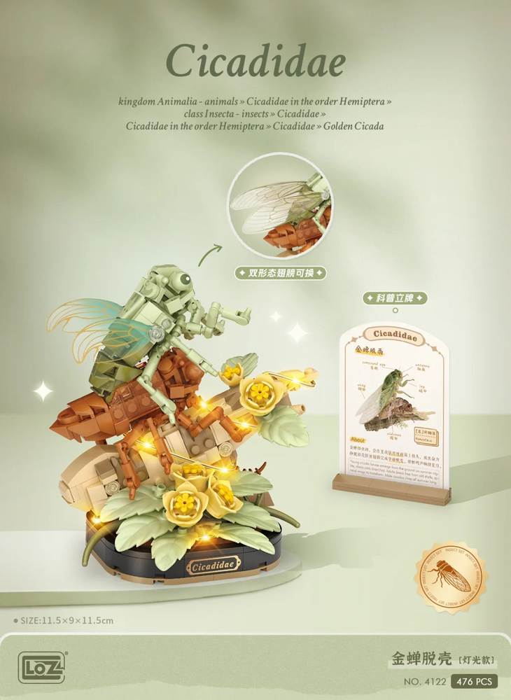 Cicadidae