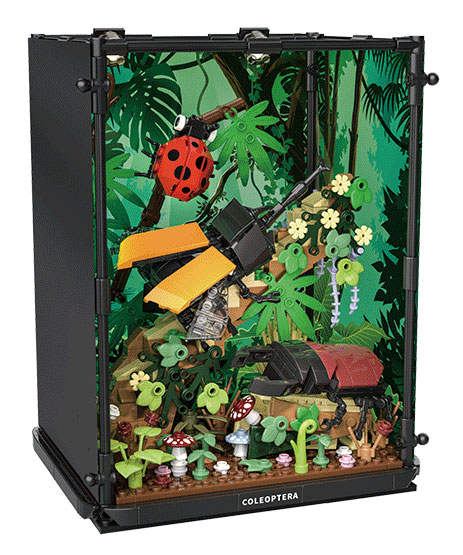 Beetle Family Ecological Box