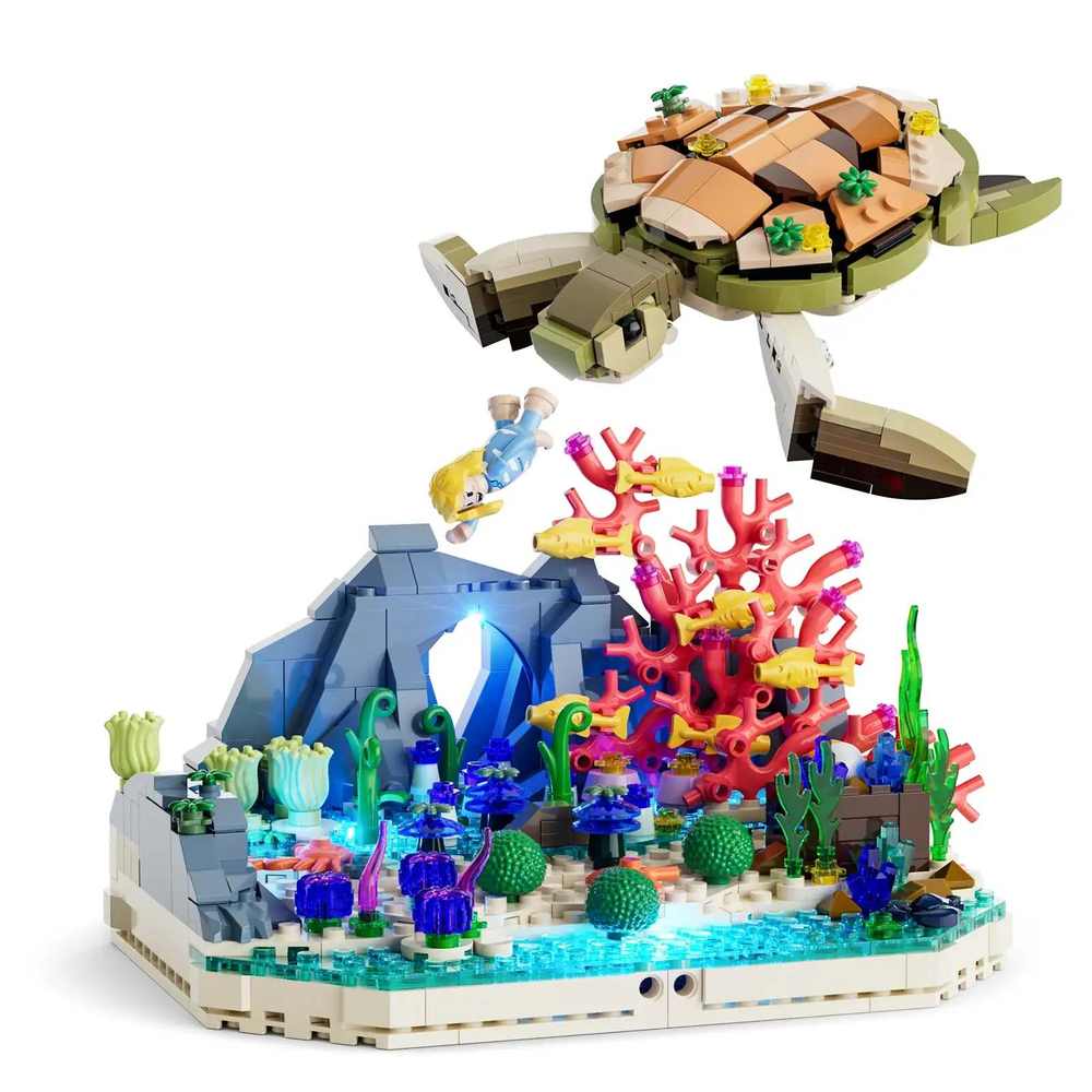Sea Turtle Coral Dream Travels