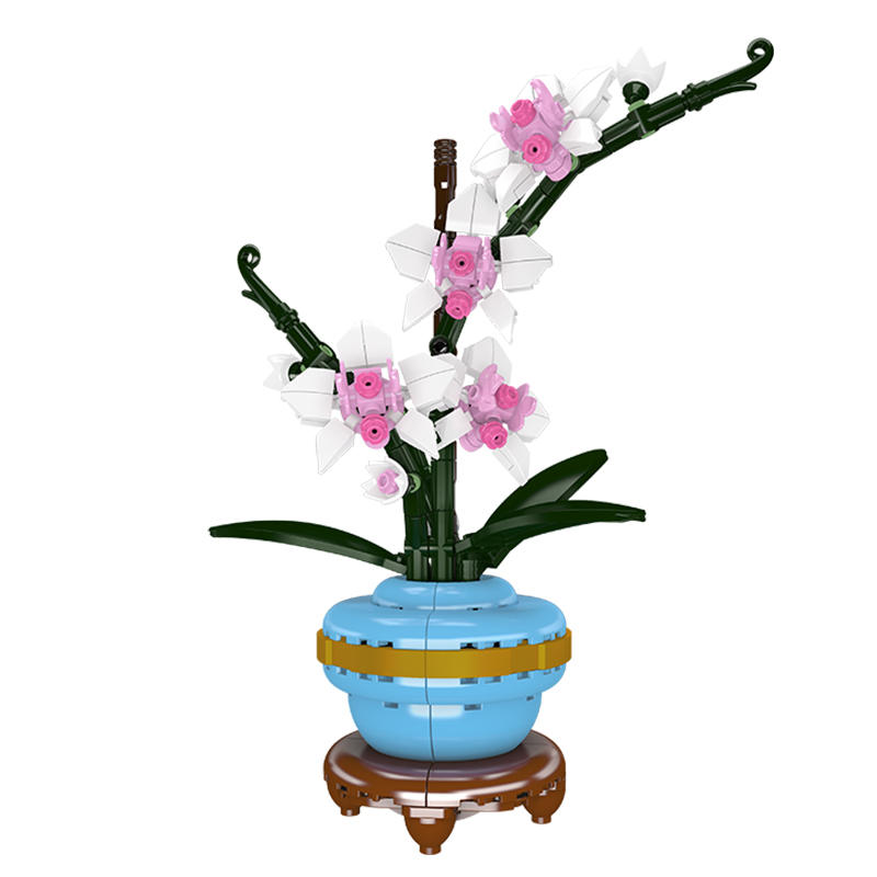 Orchid