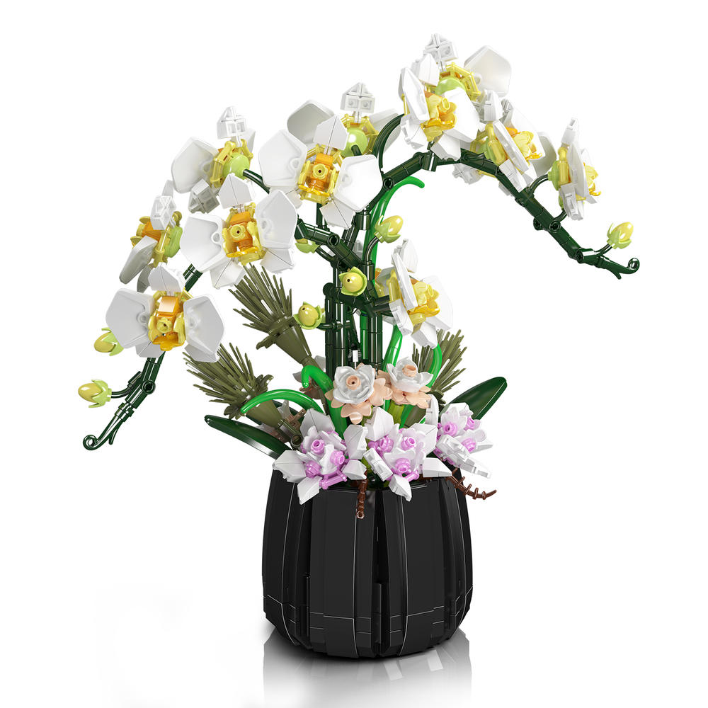 Orchid