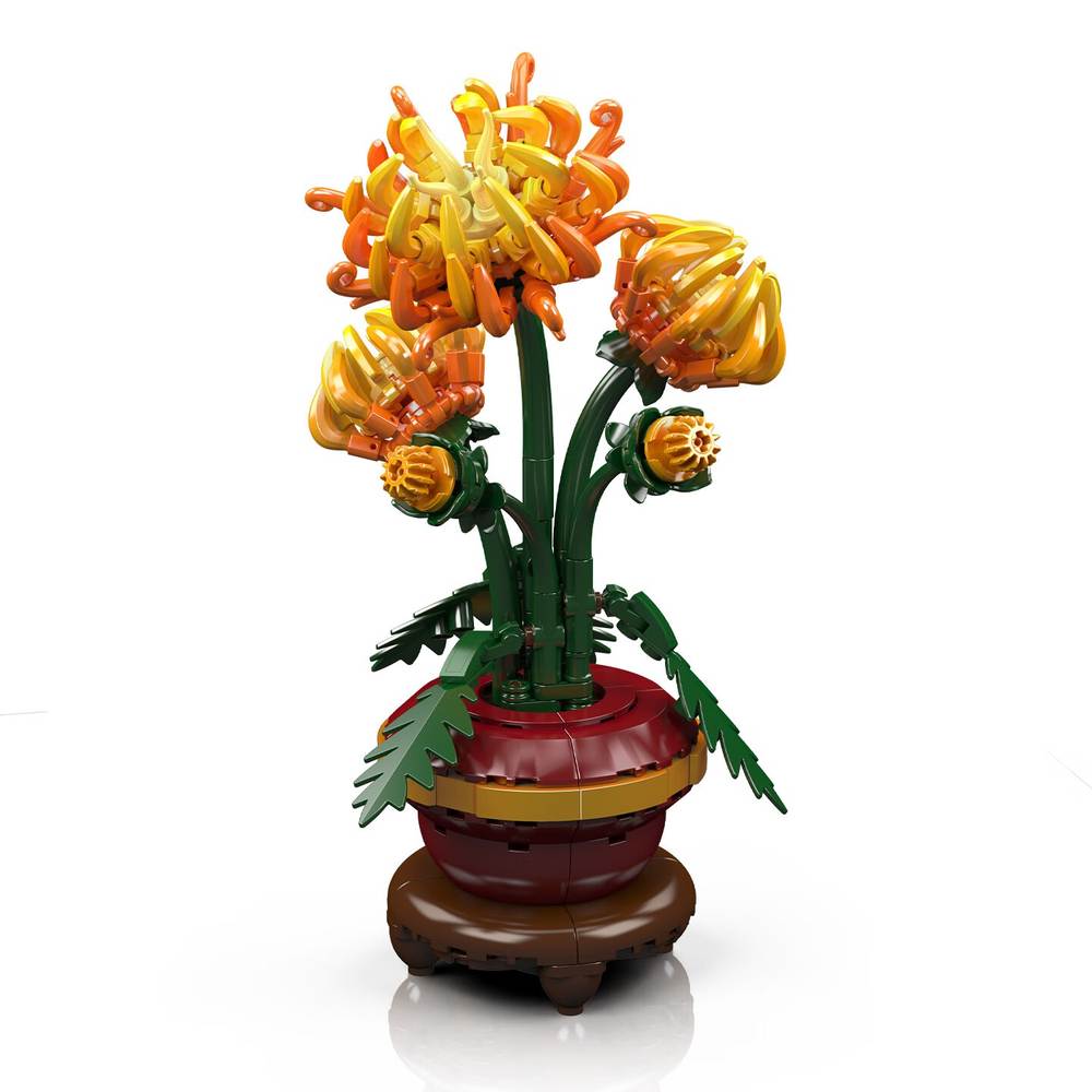 菊花