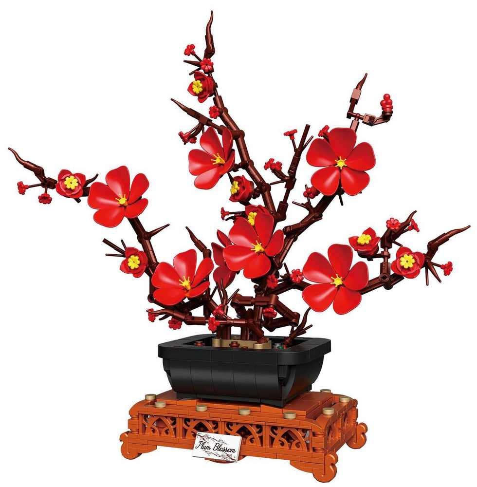 Plum Blossom