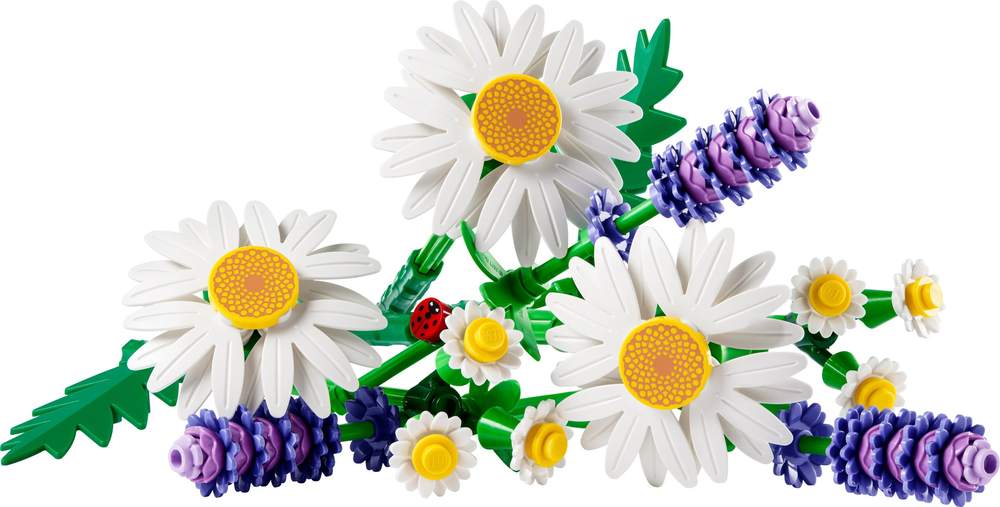 Daisies