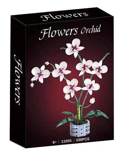 Flowers Orchid