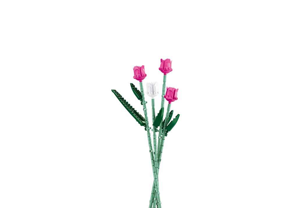PLEYERID-花心柔和-郁金香
