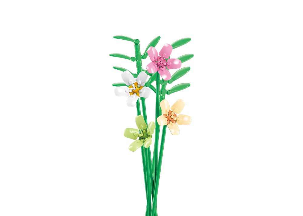 Freesia