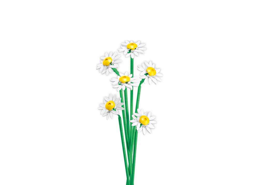 PLEYERID-花心精致-雏菊