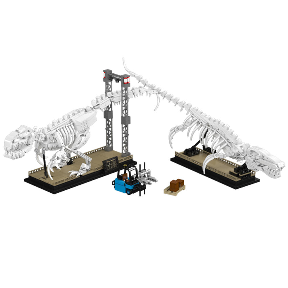 Dino Fossils Mosasaurus & Velociraptor