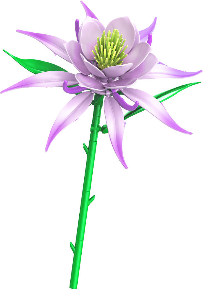 昙花