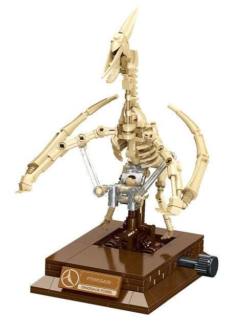 Dinosaur Mussum