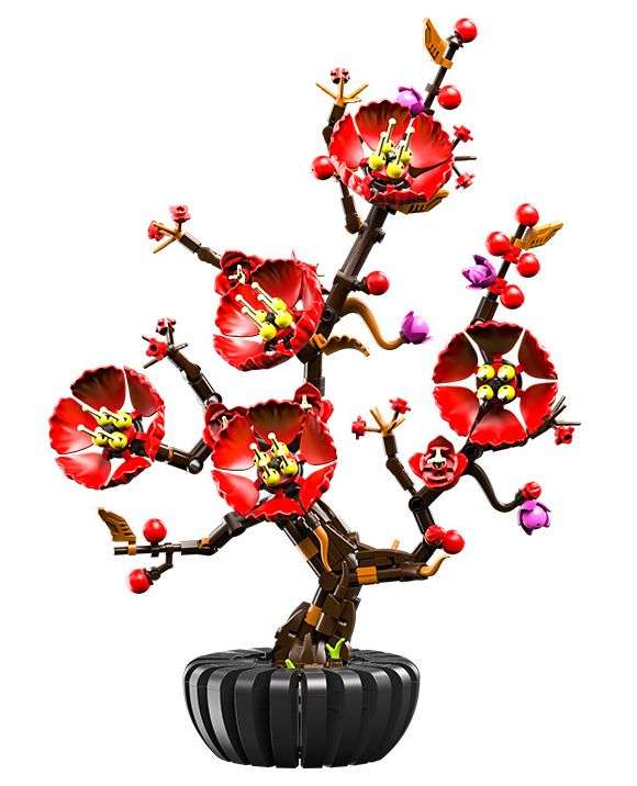 Plum Blossom