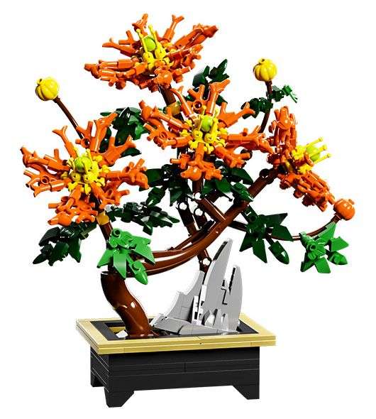 Dragon Claw Mum