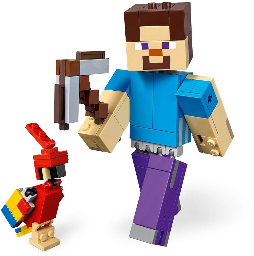 Steve with Parrot